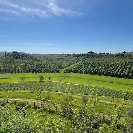 Tenuta Poggio Al Tufo * Certaldo